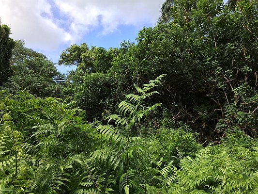 HI50 S6 2015-08-21 15.46.29