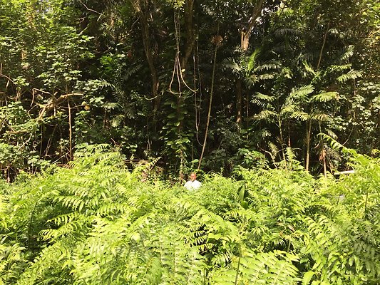 HI50 S6 2015-08-21 15.46.31