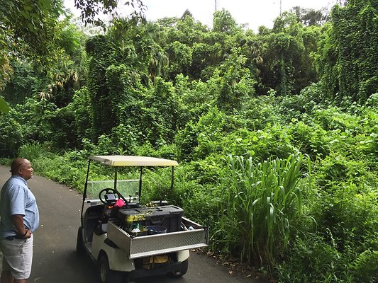 HI50 S6 2015-08-21 15.45.00