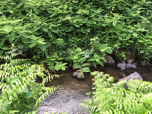 HI50 S6 2015-08-21 15.51.05