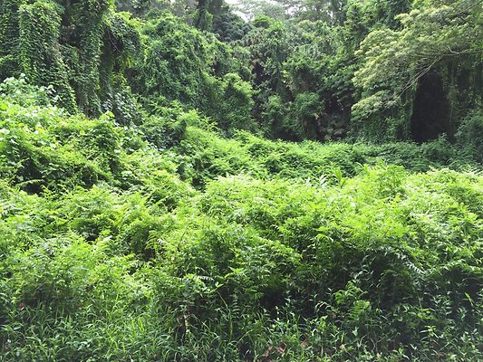 HI50 S6 2015-08-21 15.45.04