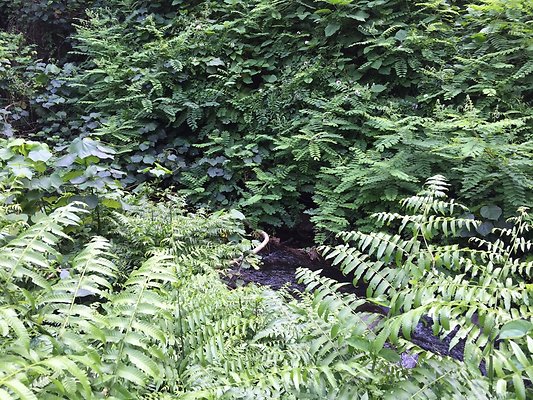 HI50 S6 2015-08-21 15.51.02