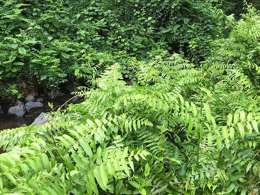 HI50 S6 2015-08-21 15.51.08