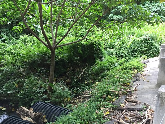 HI50 S6 2015-08-21 16.37.31