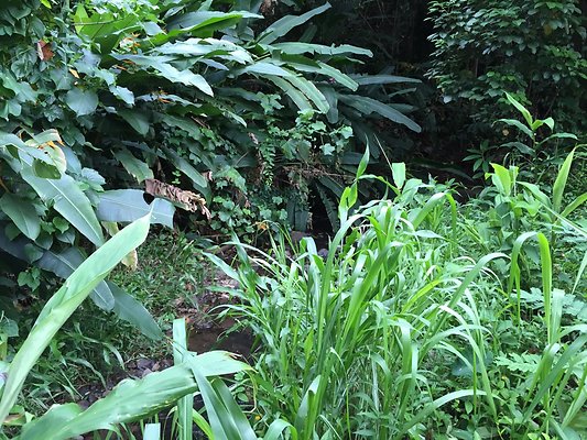 HI50 S6 2015-08-21 16.34.45