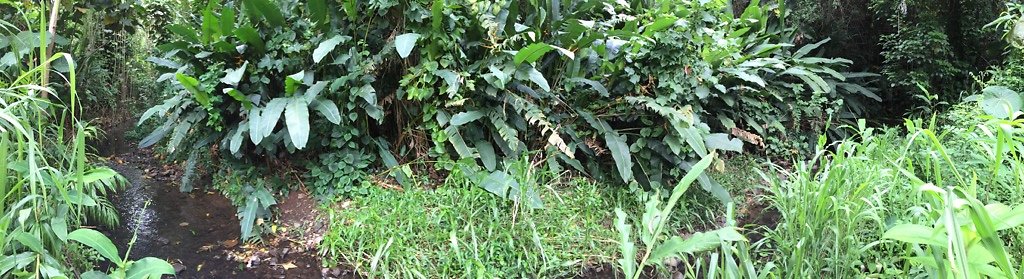 HI50 S6 2015-08-21 16.35.19