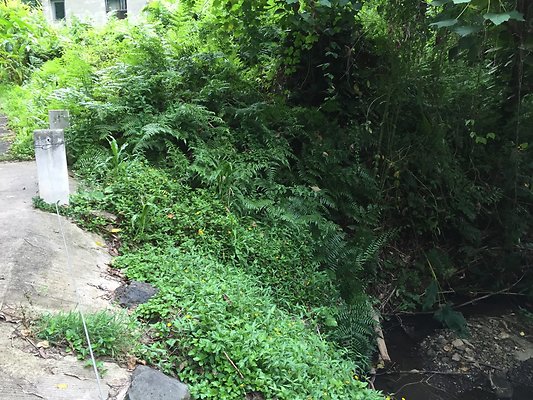 HI50 S6 2015-08-21 16.37.27