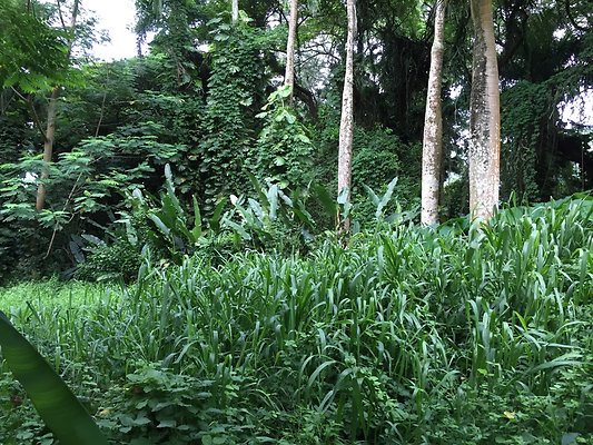 HI50 S6 2015-08-21 16.28.20