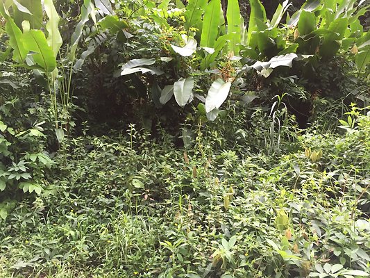 HI50 S6 2015-08-21 16.25.21