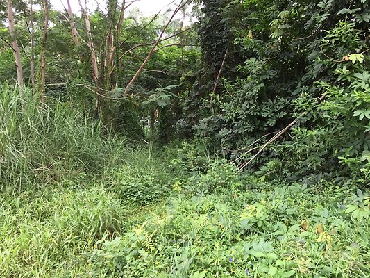 HI50 S6 2015-08-21 16.25.33