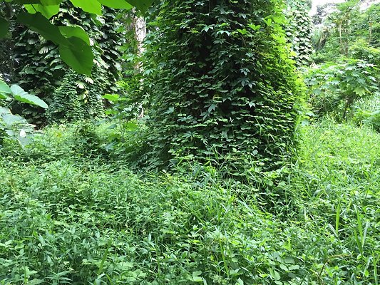 HI50 S6 2015-08-21 16.28.01