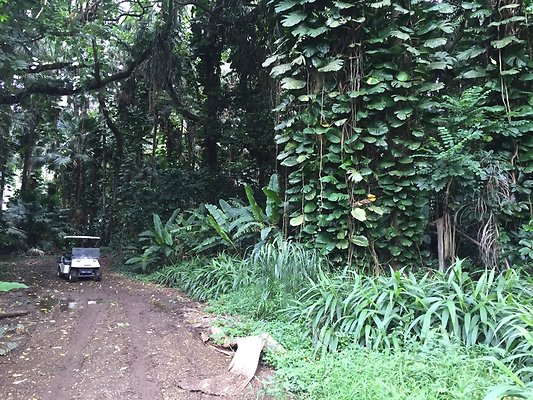 HI50 S6 2015-08-21 16.23.07