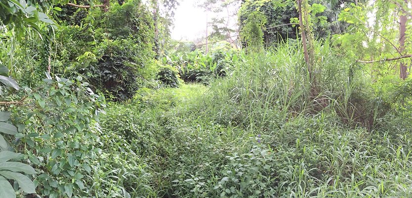 HI50 S6 2015-08-21 16.27.00