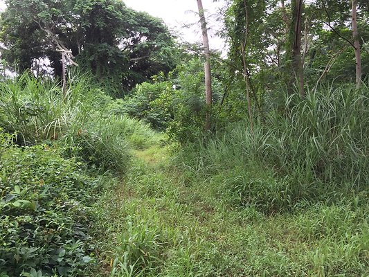 HI50 S6 2015-08-21 16.25.31