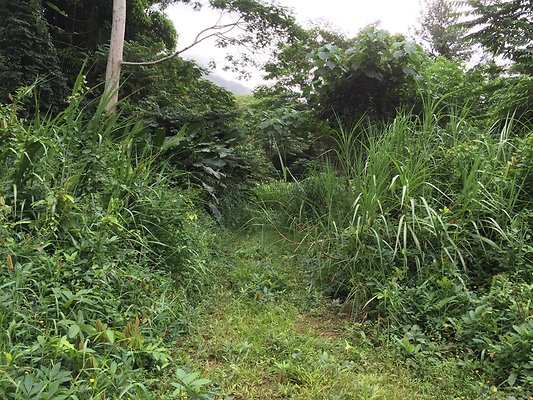 HI50 S6 2015-08-21 16.24.24