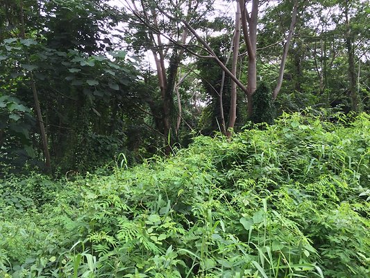 HI50 S6 2015-08-21 16.23.57