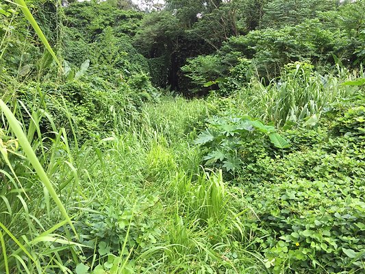 HI50 S6 2015-08-21 16.09.46