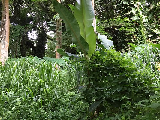 HI50 S6 2015-08-21 16.28.22