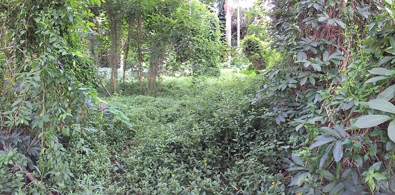 HI50 S6 2015-08-21 16.26.47