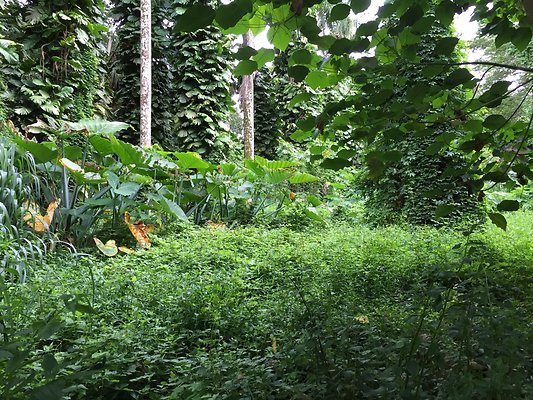 HI50 S6 2015-08-21 16.28.24