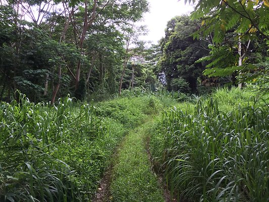 HI50 S6 2015-08-21 16.23.30