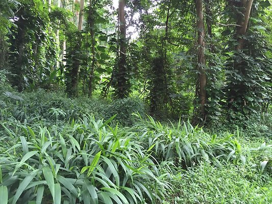 HI50 S6 2015-08-21 16.22.52