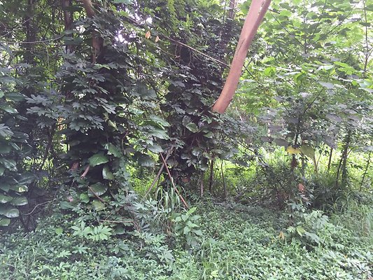 HI50 S6 2015-08-21 16.23.11