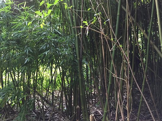 HI50 S6 2015-08-21 16.09.01