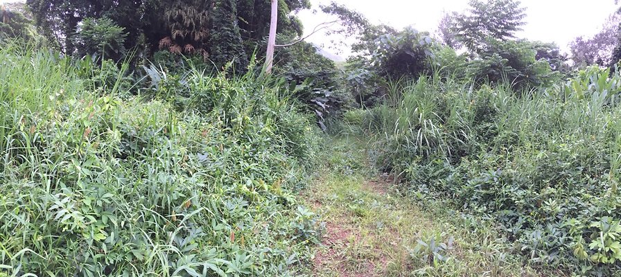 HI50 S6 2015-08-21 16.24.39