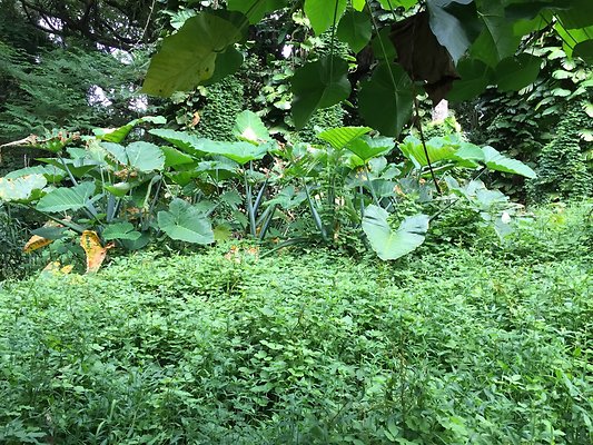 HI50 S6 2015-08-21 16.27.58