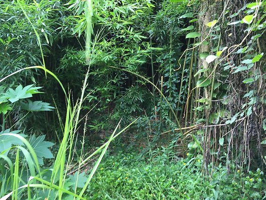 HI50 S6 2015-08-21 16.09.32