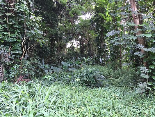 HI50 S6 2015-08-21 16.23.09