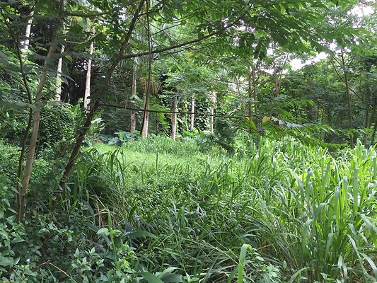 HI50 S6 2015-08-21 16.23.27