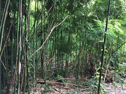 HI50 S6 2015-08-21 16.08.56