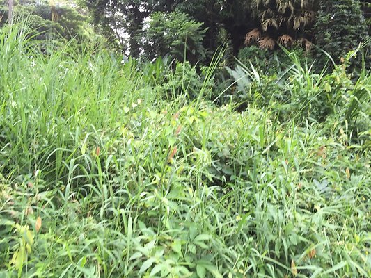 HI50 S6 2015-08-21 16.24.22