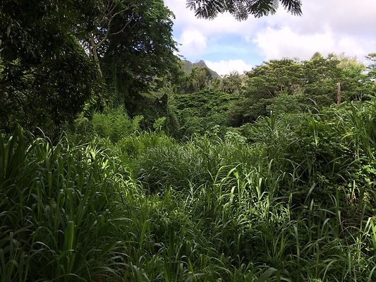 HI50 S6 2015-08-21 16.03.55