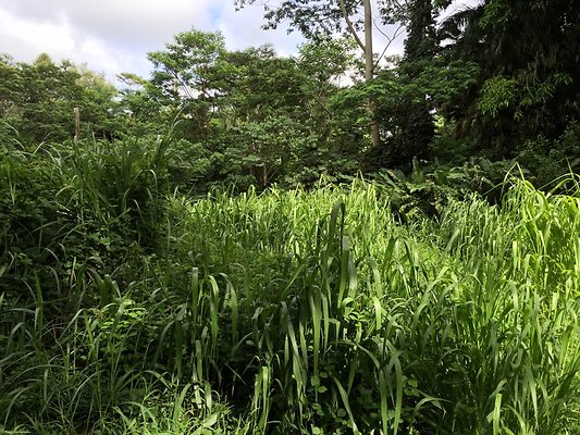 HI50 S6 2015-08-21 16.03.58