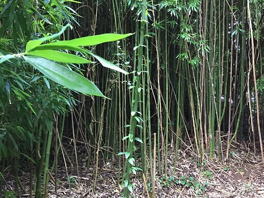 HI50 S6 2015-08-21 16.09.13