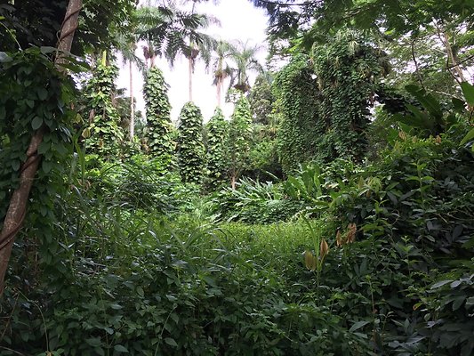 HI50 S6 2015-08-21 16.26.20