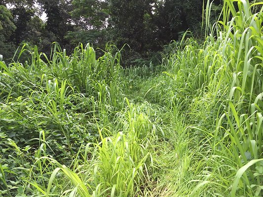 HI50 S6 2015-08-21 16.09.41