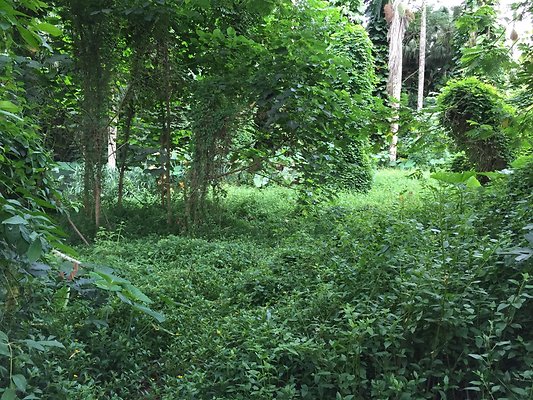 HI50 S6 2015-08-21 16.26.32