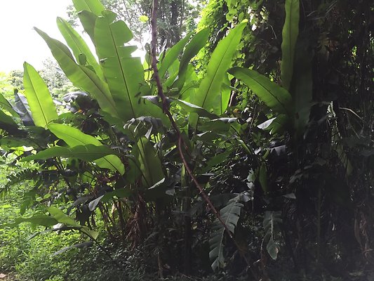 HI50 S6 2015-08-21 16.22.56