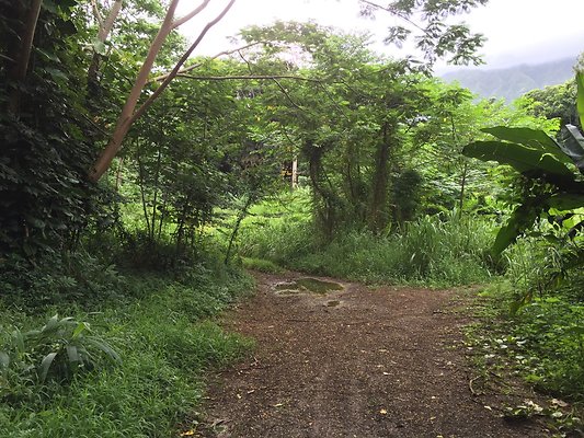 HI50 S6 2015-08-21 16.22.54