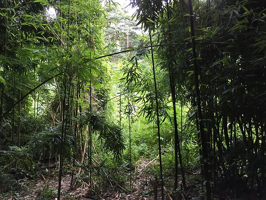 HI50 S6 2015-08-21 16.08.59