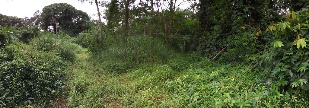 HI50 S6 2015-08-21 16.25.56