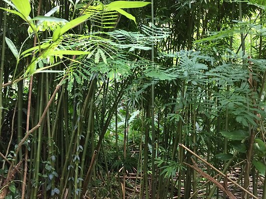 HI50 S6 2015-08-21 16.09.19