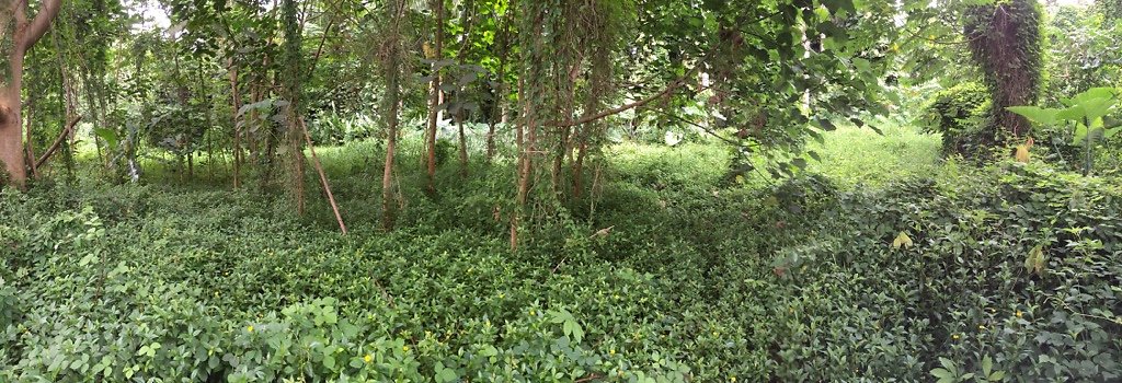 HI50 S6 2015-08-21 16.27.31