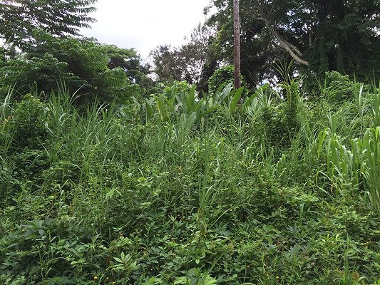 HI50 S6 2015-08-21 16.24.26