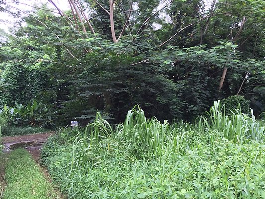 HI50 S6 2015-08-21 16.23.53