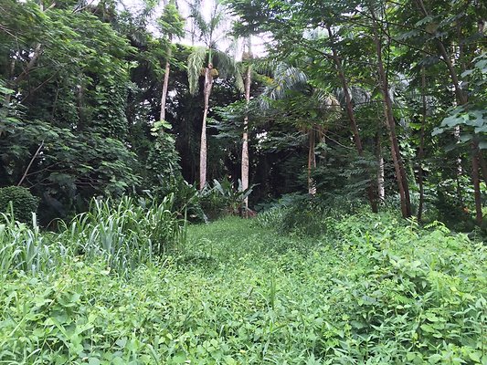 HI50 S6 2015-08-21 16.23.55